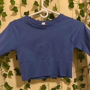 OFFLINE By Aerie Sidewalk Seamless Long Sleeve Cropped T-Shirt